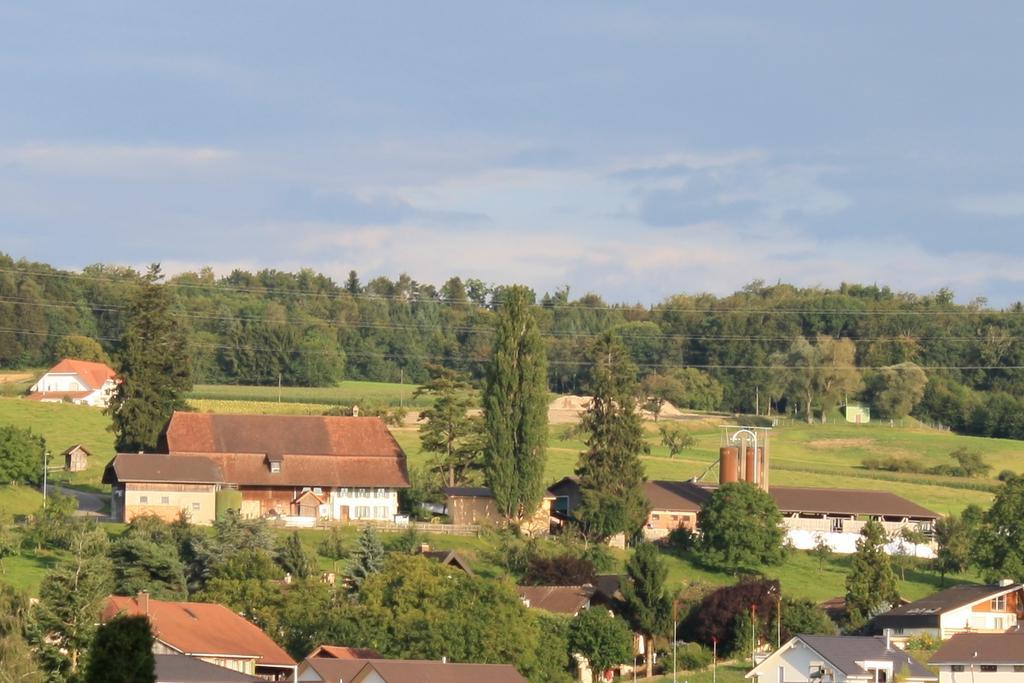 Hof Oberprehl Apartman Murten Kültér fotó